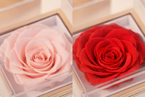 Eeuwige Roos Box - Gepersonaliseerde Ketting met Gravure